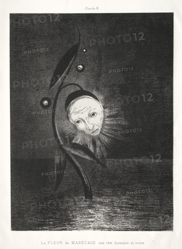 Homage to Goya: The Marsh Flower, a Sad Human Head, 1885. Creator: Odilon Redon (French, 1840-1916); Lemercier & Cie..