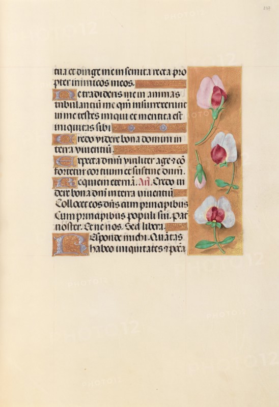 Hours of Queen Isabella the Catholic, Queen of Spain: Fol. 237r, c. 1500. Creator: Master of the First Prayerbook of Maximillian (Flemish, c. 1444-1519); Associates, and.
