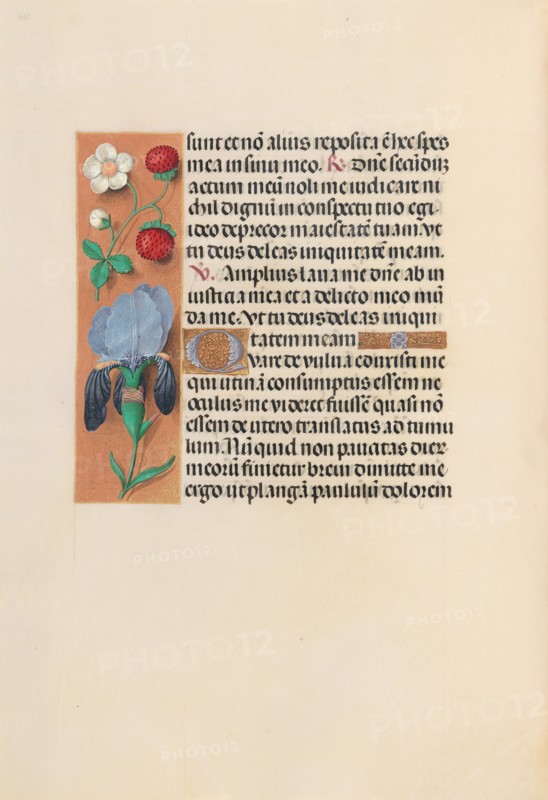 Hours of Queen Isabella the Catholic, Queen of Spain: Fol. 245v, c. 1500. Creator: Master of the First Prayerbook of Maximillian (Flemish, c. 1444-1519); Associates, and.