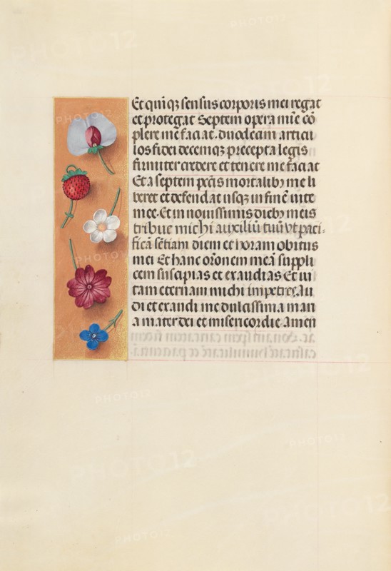 Hours of Queen Isabella the Catholic, Queen of Spain: Fol. 260v, Pieta, c. 1500. Creator: Master of the First Prayerbook of Maximillian (Flemish, c. 1444-1519); Associates, and.