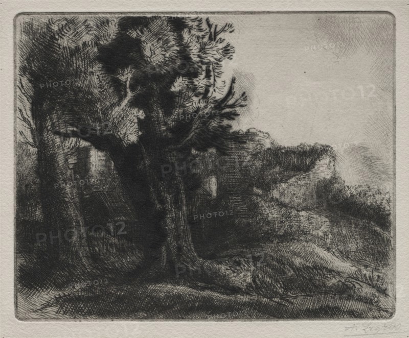 In the Ruins. Creator: Alphonse Legros (French, 1837-1911).