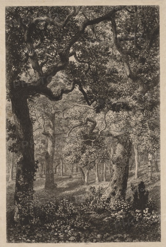 In the Woods. Creator: Adolphe Théodore Jules Martial Potémont (French, 1828-1883).