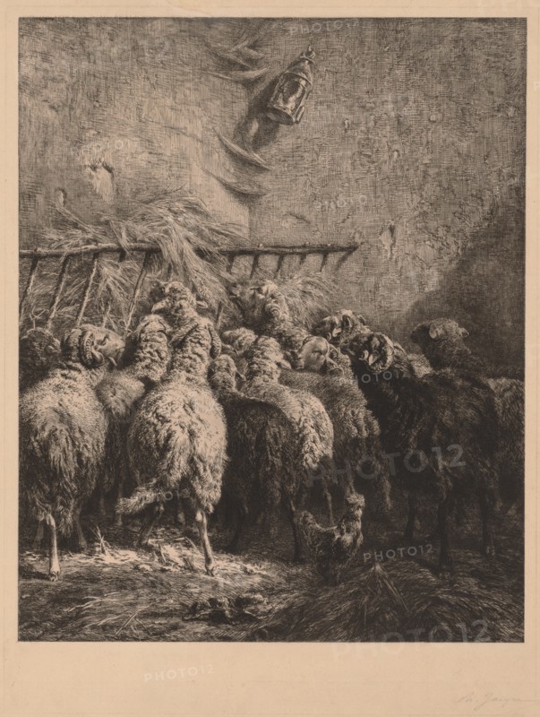 Interior of Sheep Enclosure. Creator: Charles-Émile Jacque (French, 1813-1894).