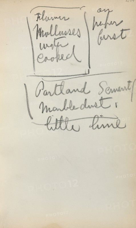 Italian Sketchbook: Notes (page 244), 1898-1899. Creator: Maurice Prendergast (American, 1858-1924).