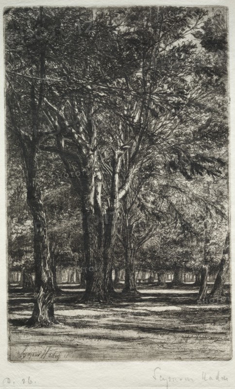 Kensington Gardens (The Larger Plate), 1860. Creator: Francis Seymour Haden (British, 1818-1910).