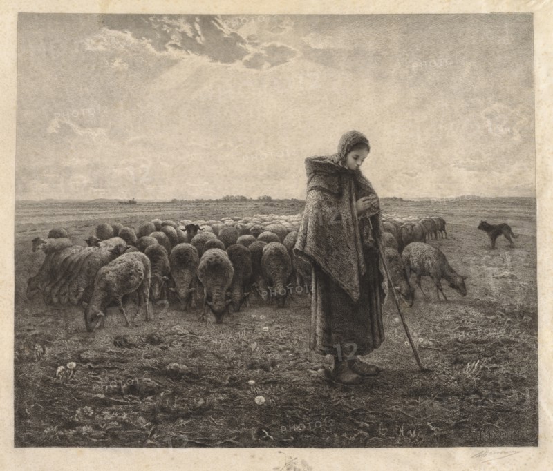La Bergerie, 1885. Creator: Benjamin-Louis-Auguste Damman (French, 1835-1921).