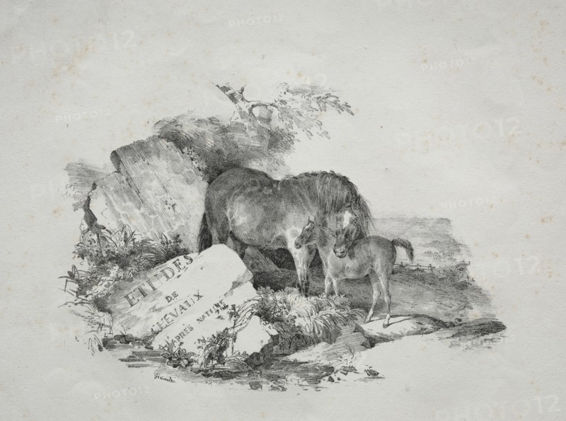 La Jument et son poulain. Creator: Théodore Géricault (French, 1791-1824).