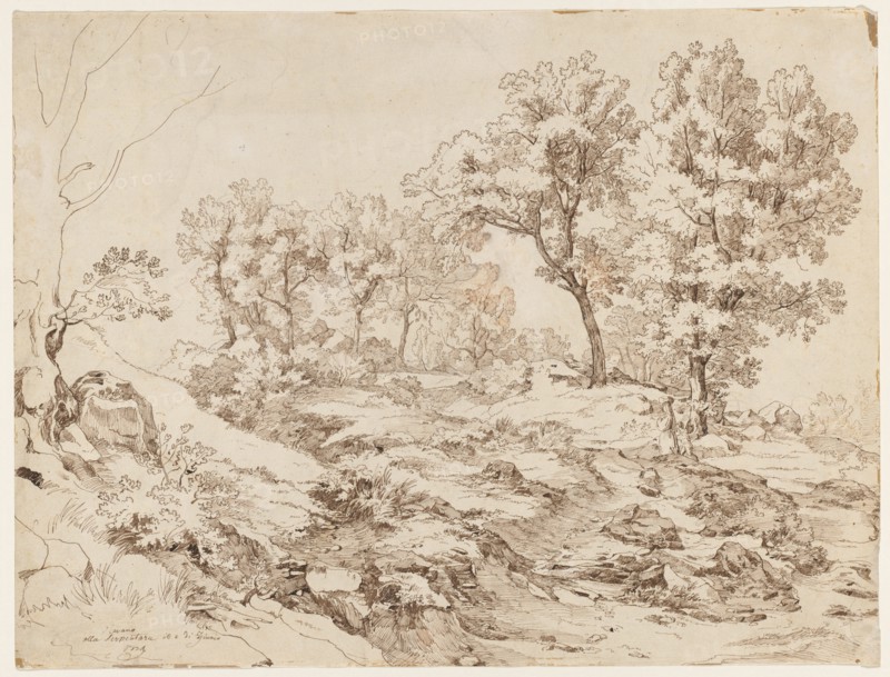 La Serpentara near Olevano, 1829. Creator: Friedrich Preller (German, 1804-1878).