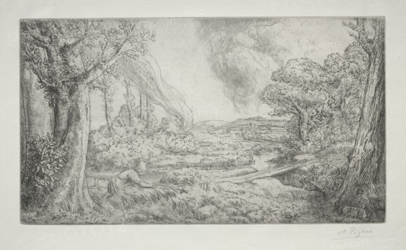 Landscape (Paysage). Creator: Alphonse Legros (French, 1837-1911).