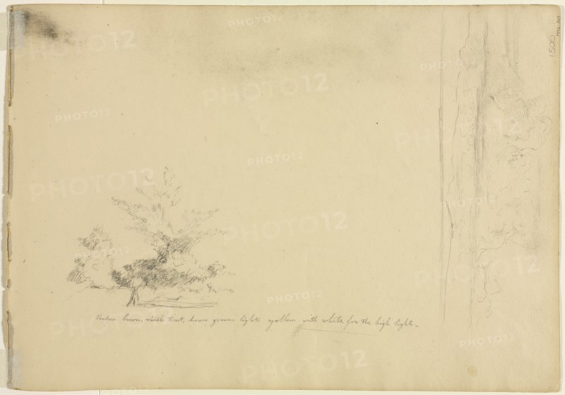 Landscape and Tree Studies (verso), c. 1851. Creator: David Johnson (American, 1827-1908).