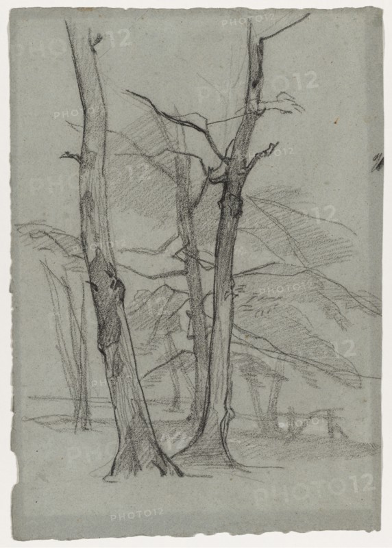 Landscape Study with Trees, c. 1870-1875. Creator: Thomas Couture (French, 1815-1879).