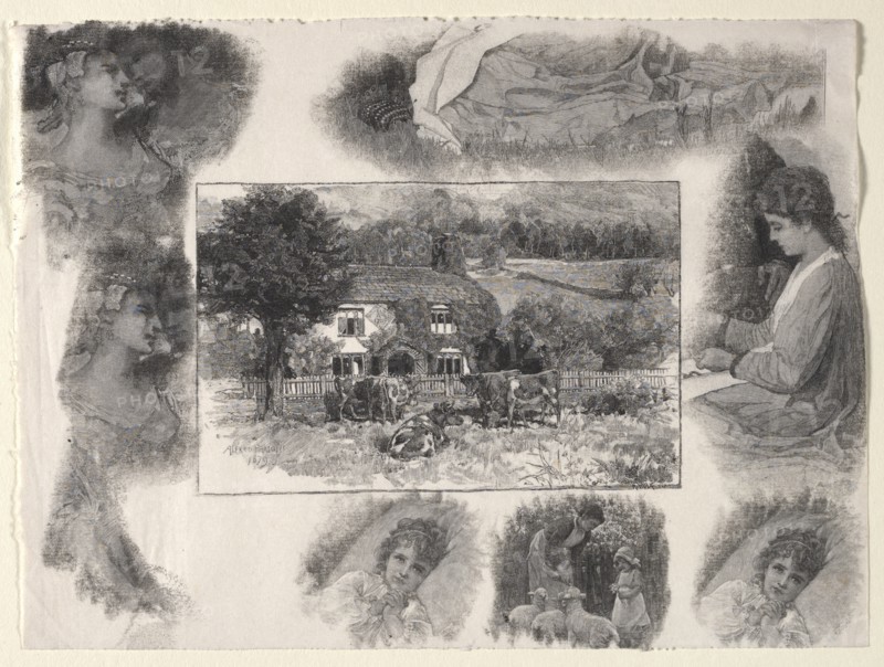 Landscape with Cottage and Cows Surrounded by Various Sketches. Creator: Henry Wolf (American, 1852-1916).