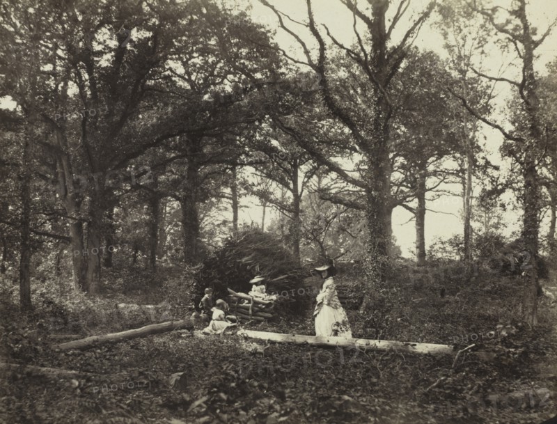 Landscape, 1856. Creator: Henry White (British, 1819-1903).