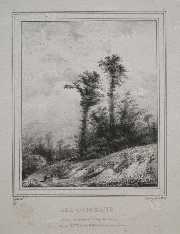 Landscapes: Young Elm Trees, 1829. Creator: Paul Hüet (French, 1803-1869).