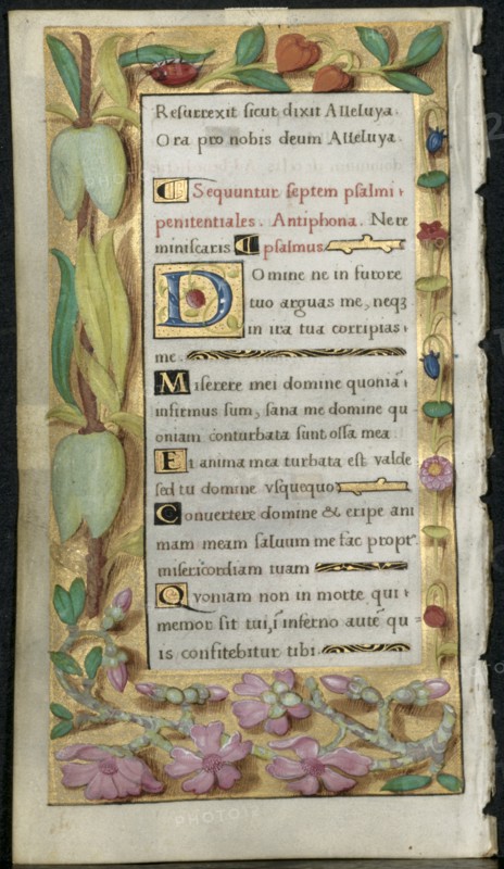 Leaf from a Book of Hours: Penitential Psalms, c. 1530-1535. Creator: Noël Bellemare (French, d. 1546); The 1520s Hours Workshop (French).