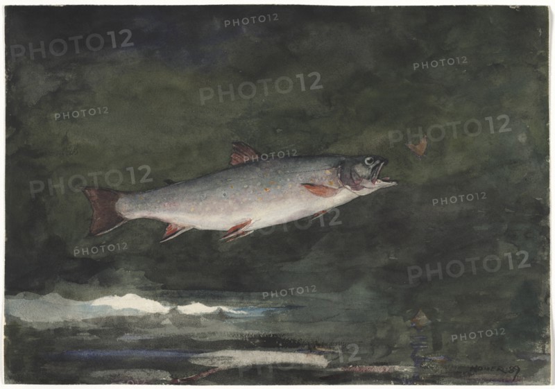 Leaping Trout, 1889. Creator: Winslow Homer (American, 1836-1910).