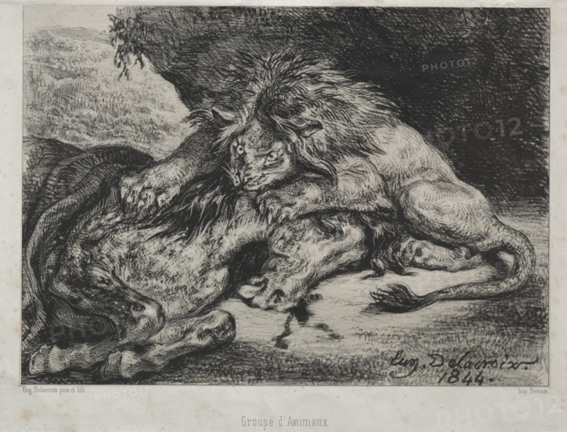 Lion Devouring a Horse, 1844. Creator: Eugène Delacroix (French, 1798-1863); Bertauts.