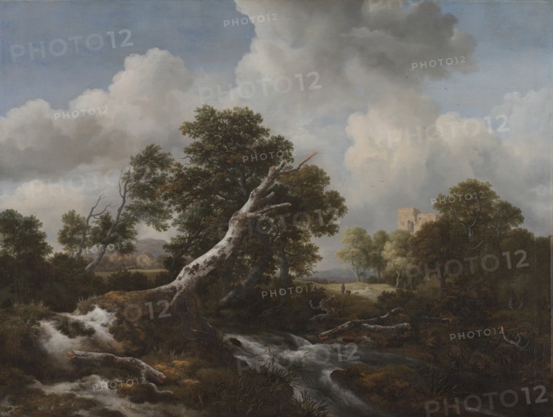 Low Waterfall in a Wooded Landscape with a Dead Beech Tree, c. 1660-1670. Creator: Jacob van Ruisdael (Dutch, 1628/29-1682).