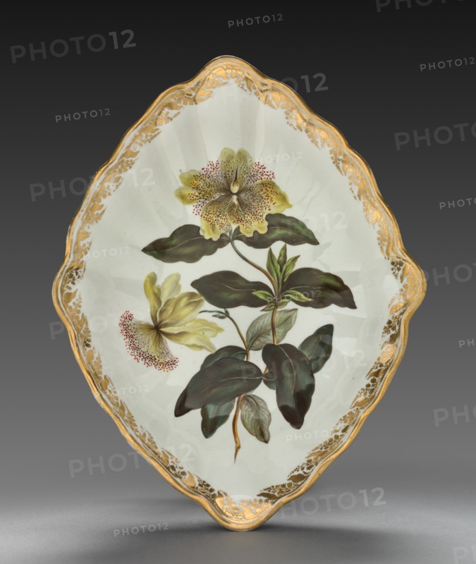 Lozenge Shaped Dish from Dessert Service: Large Flowered St. John's Wort, c. 1800. Creator: Derby (Crown Derby Period) (British).