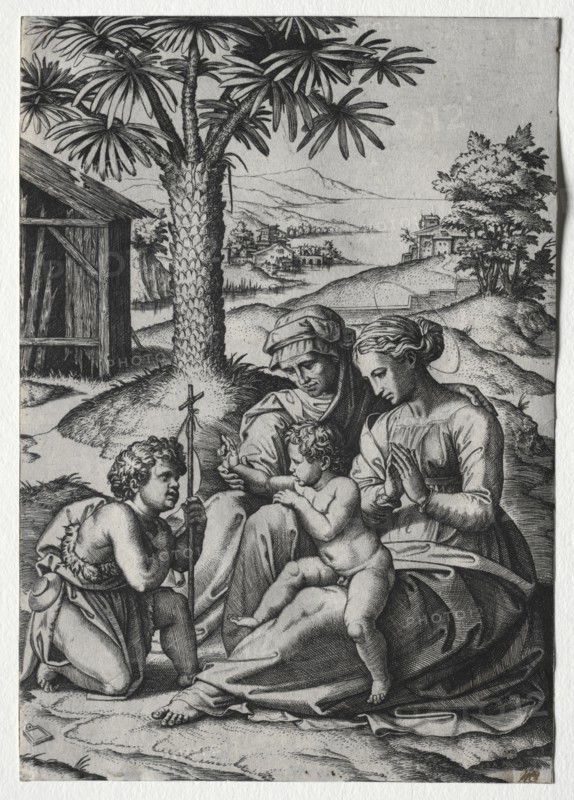 Madonna of the Palm Tree. Creator: Marcantonio Raimondi (Italian, 1470/82-1527/34).