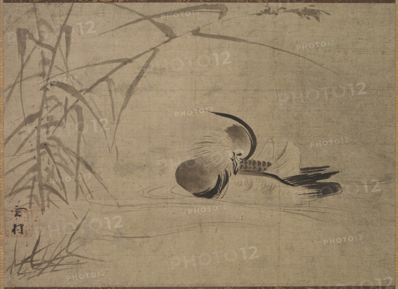 Mandarin Duck, 1500s. Creator: Sesson Sh?kei (Japanese, 1504-1589).