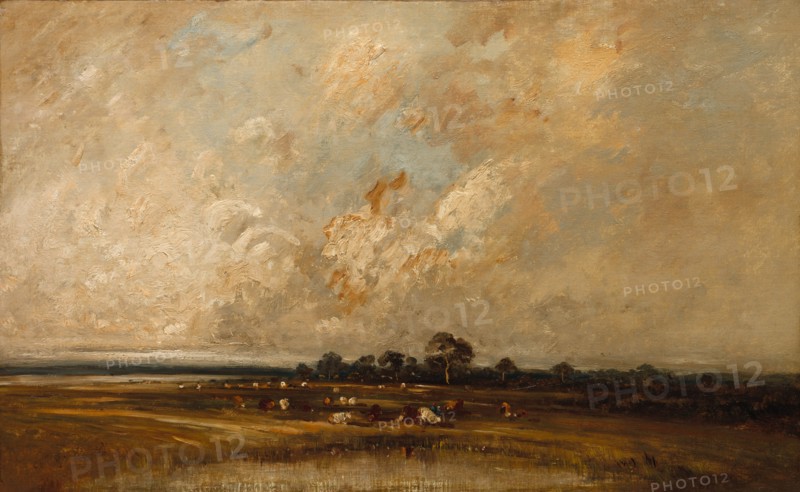 Marshland, 1860s-1870s. Creator: Jules Dupré (French, 1811-1889).