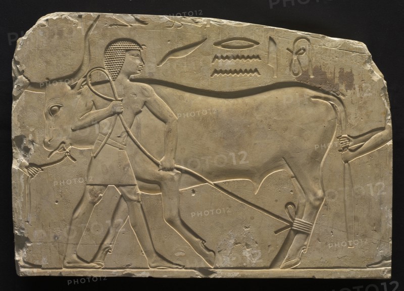 Men Trussing an Ox, 667-647 BC. Creator: Unknown.