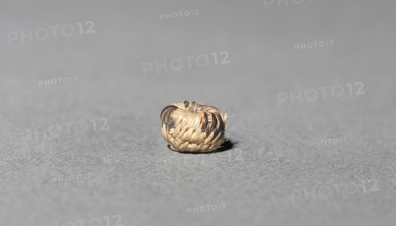 Miniature Basket, Unassigned. Creator: Unknown.