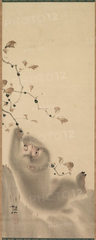 Monkey Hanging on to a Branch, 1780. Creator: Mori Sosen (Japanese, 1747-1821).