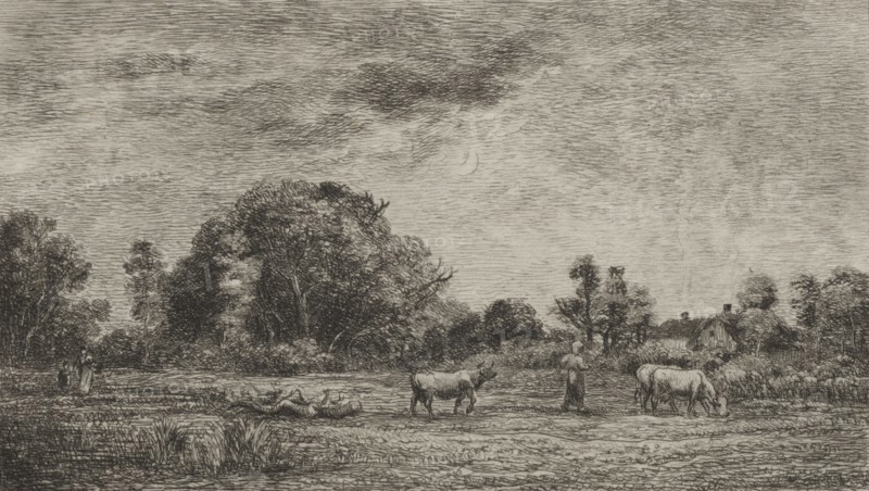 Moonrise, 1861. Creator: Charles François Daubigny (French, 1817-1878); Auguste Delâtre (5th state); A. Salmon (6th state).