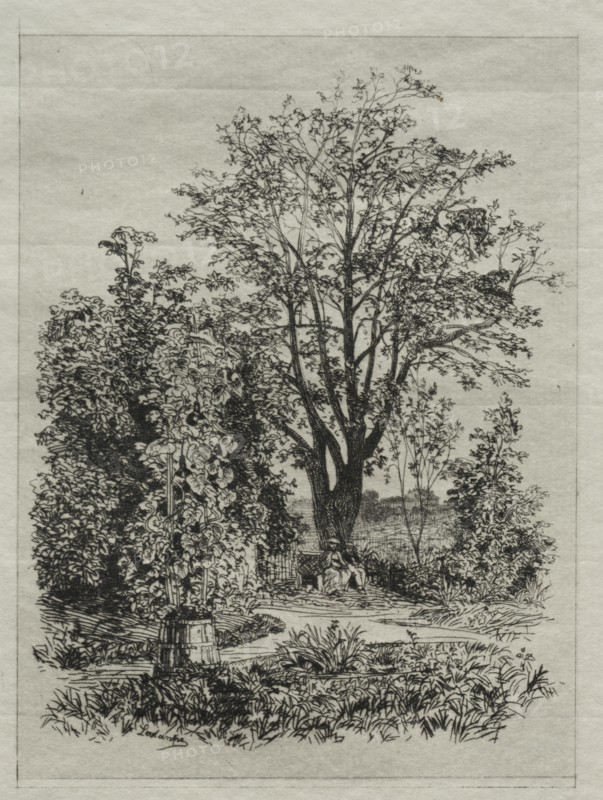My Garden. Creator: Maxime Lalanne (French, 1827-1886).