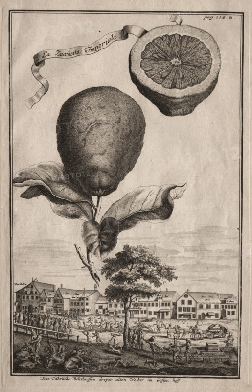 Nurnbergische Hesperides: La Luchetta Imoperiale, 1714. Creator: Joseph de Montalegre (Hungarian).