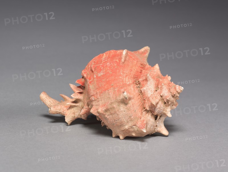 Offering Group: Large Shell, c. 800-1200(?). Creator: Unknown.