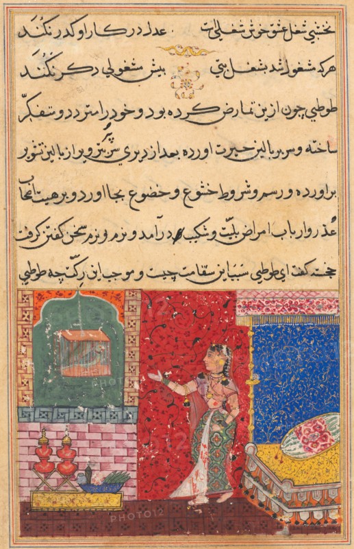 Page from Tales of a Parrot (Tuti-nama): Fifteenth night: The parrot addresses Khujasta..., 1558-156 Creator: Unknown.