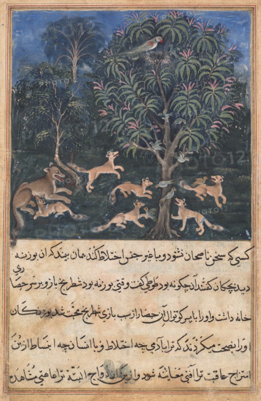 Page from Tales of a Parrot (Tuti-nama): Fifth night: The parrot mother cautions..., c. 1560. Creator: Daswanth (Indian).