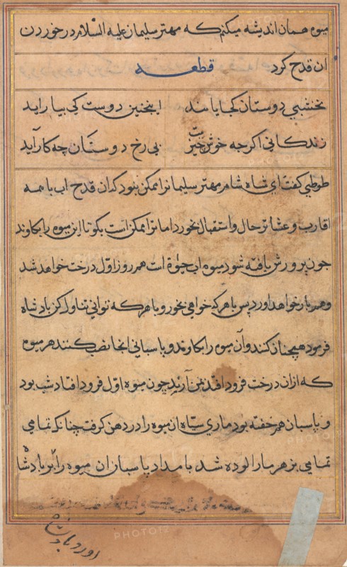 Page from Tales of a Parrot (Tuti-nama): text page, c. 1560. Creator: Unknown.