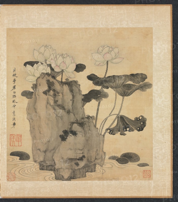 Paintings after Ancient Masters: Lotus and Rocks, 1598-1652. Creator: Chen Hongshou (Chinese, 1598/99-1652).