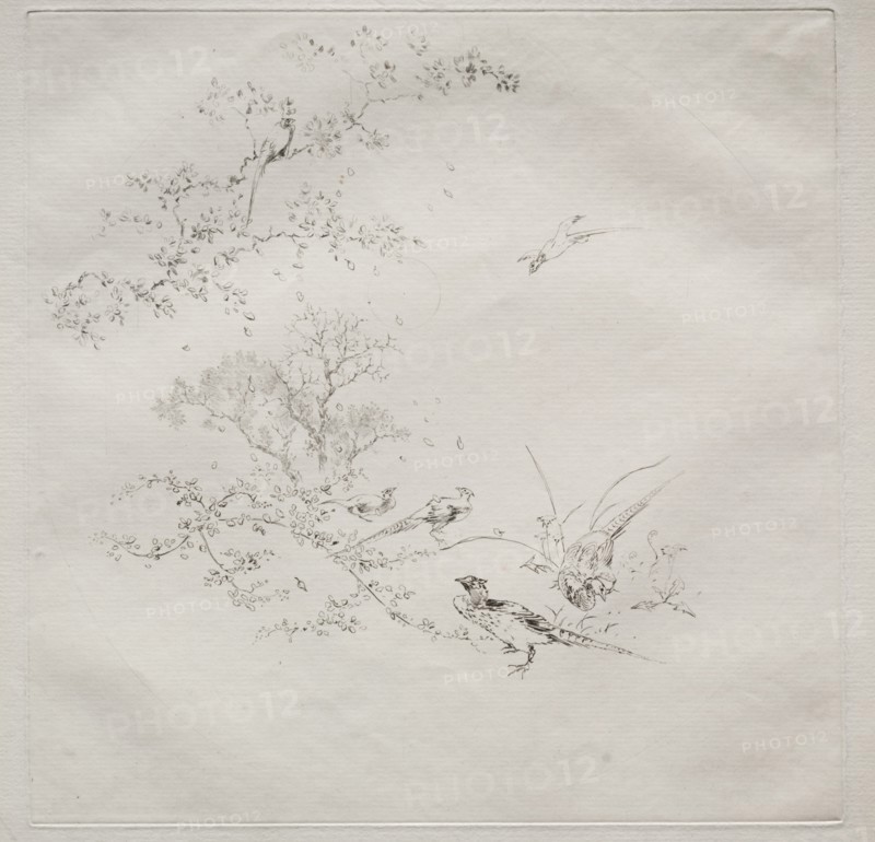 Parisian Service (Haviland service), 1875. Creator: Félix Bracquemond (French, 1833-1914).