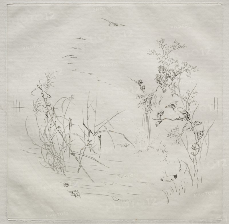 Parisian Service (Haviland service): Calm (no. 3), 1875. Creator: Félix Bracquemond (French, 1833-1914).