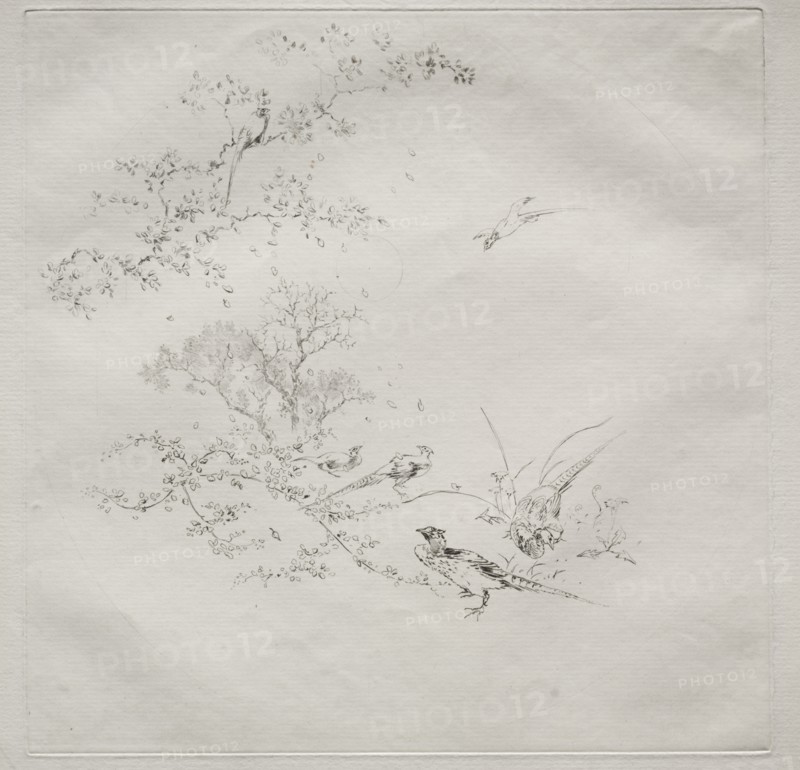 Parisian Service (Haviland service): Fog (no. 1), 1875. Creator: Félix Bracquemond (French, 1833-1914).