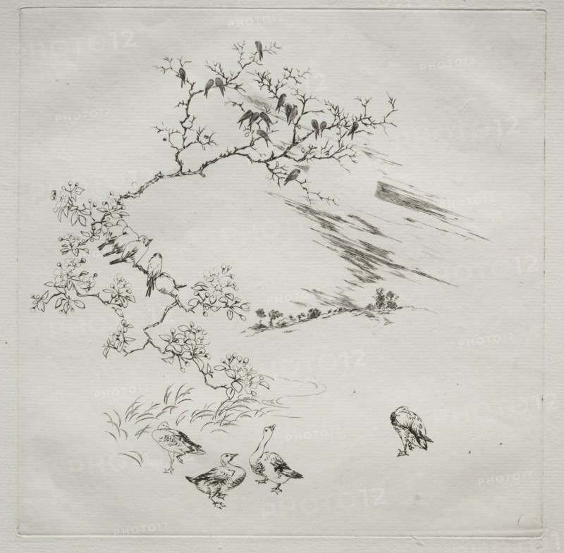 Parisian Service (Haviland service): Night (no. 7), 1875. Creator: Félix Bracquemond (French, 1833-1914).