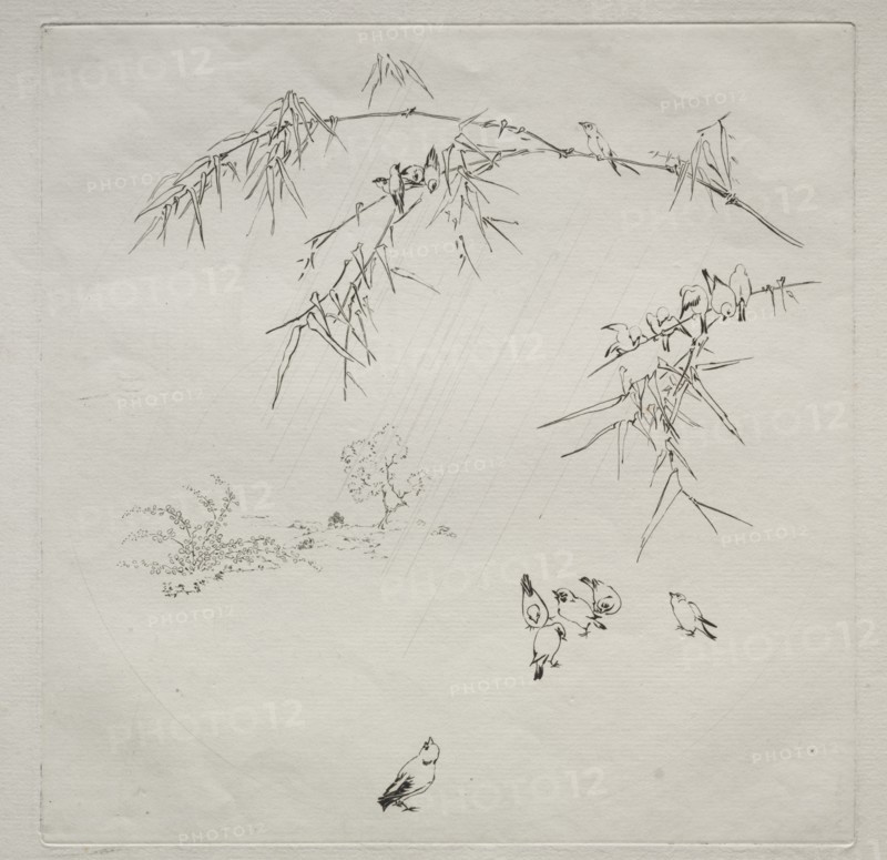 Parisian Service (Haviland service): Rain (no. 10), 1875. Creator: Félix Bracquemond (French, 1833-1914).