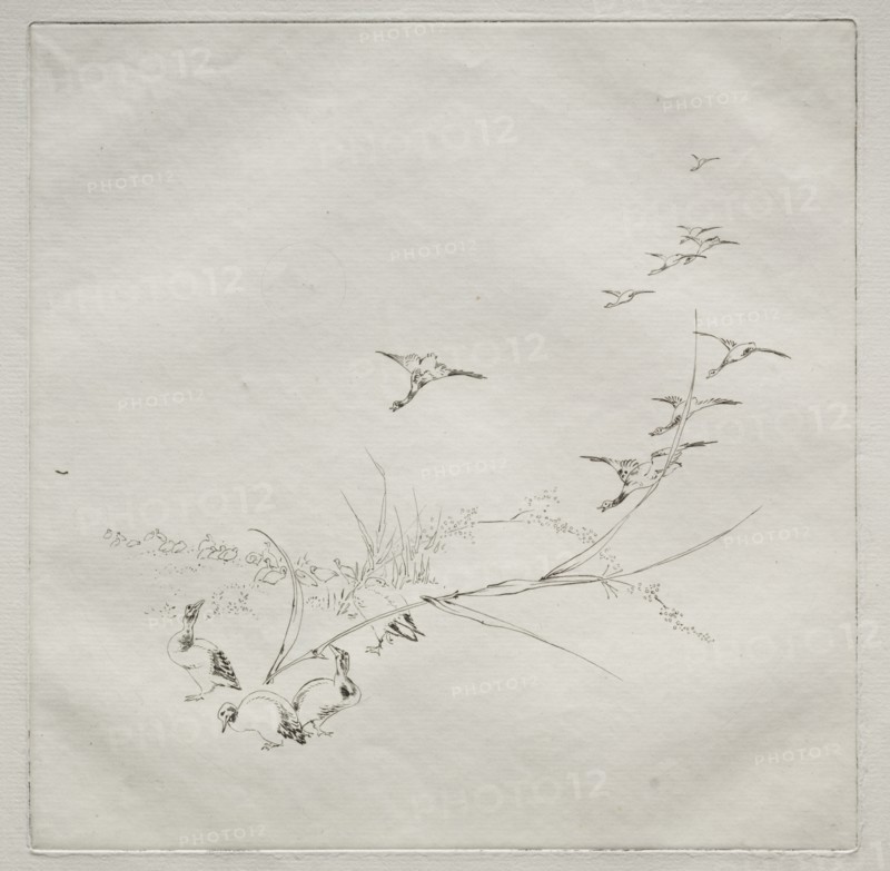 Parisian Service (Haviland service): Right in the sun (no. 9), 1875. Creator: Félix Bracquemond (French, 1833-1914).