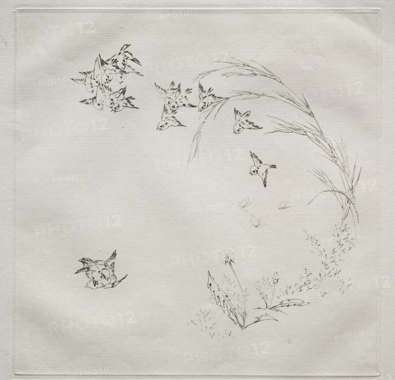 Parisian Service (Haviland service): The Fight (no. 2), 1875. Creator: Félix Bracquemond (French, 1833-1914).