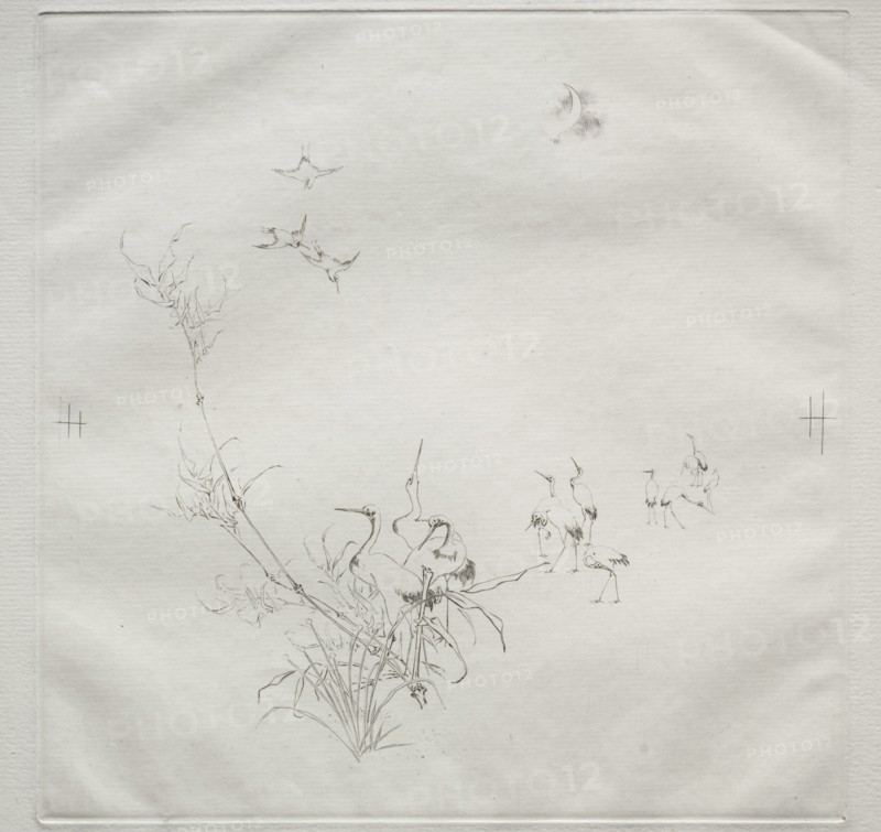 Parisian Service (Haviland service): The Moon (no. 5), 1875. Creator: Félix Bracquemond (French, 1833-1914).