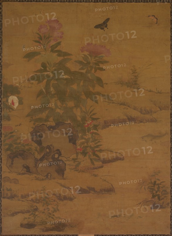 Plants and Insects, 1368-1644. Creator: Unknown.