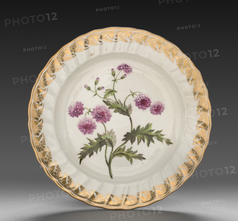 Plate from Dessert Service: Double Groundsell or Ragwort, c. 1800. Creator: Derby (Crown Derby Period) (British).