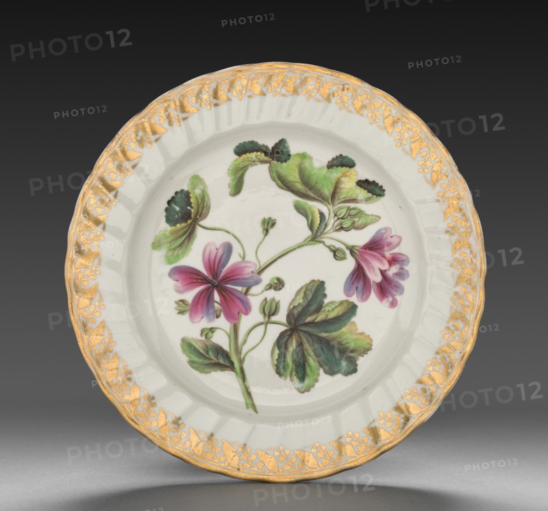 Plate from Dessert Service: Marsh Mallow, c. 1800. Creator: Derby (Crown Derby Period) (British).