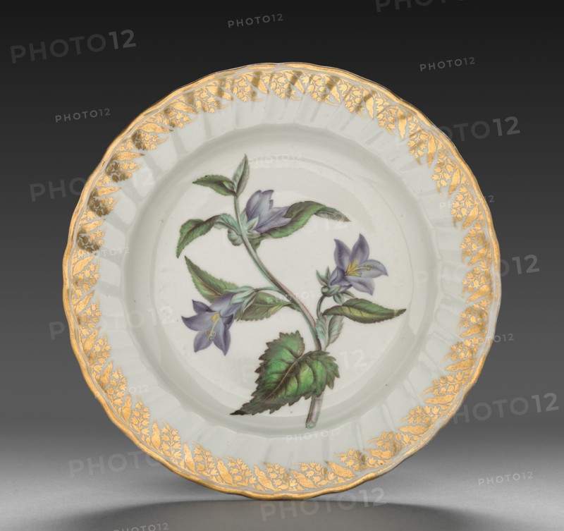 Plate from Dessert Service: Nettle Leaved Bell Flower, c. 1800. Creator: Derby (Crown Derby Period) (British).
