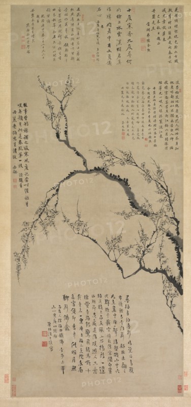 Plum Blossoms, 1747. Creator: Wang Shishen (Chinese, 1686-1759).